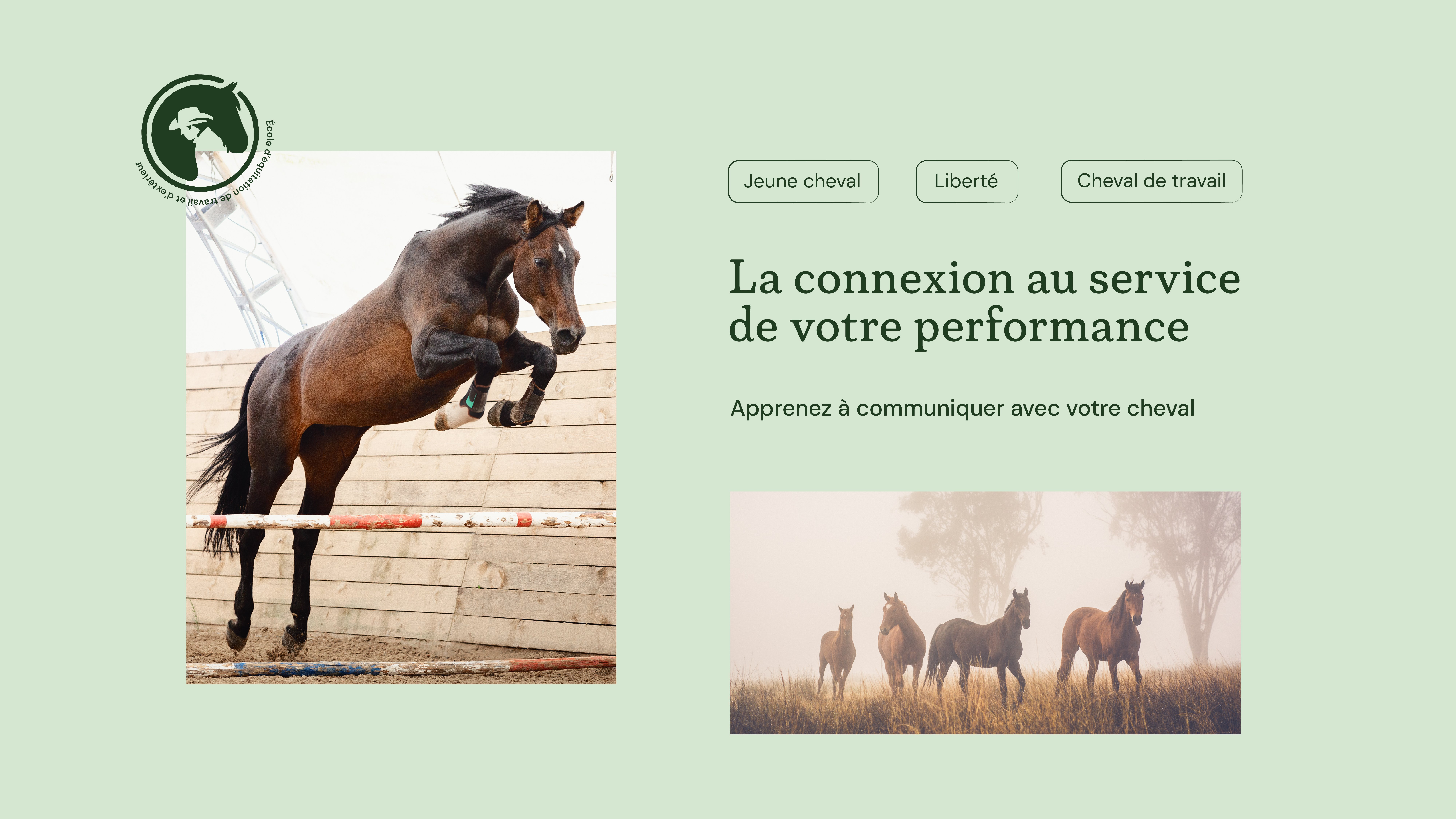 Détails du projet Horse and Liberty