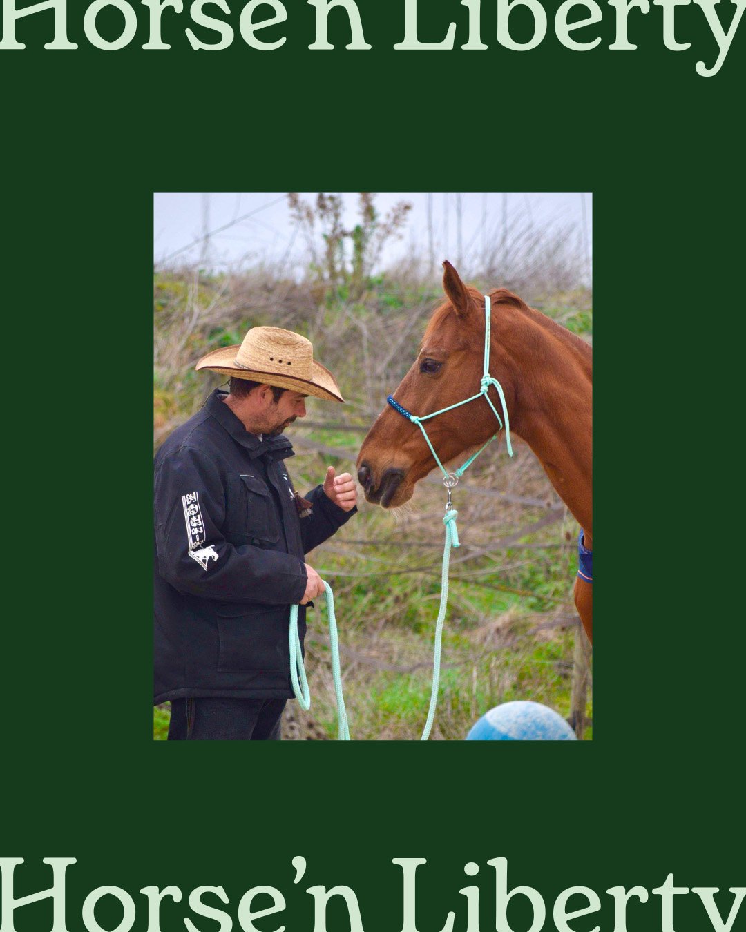 Détails du projet Horse and Liberty
