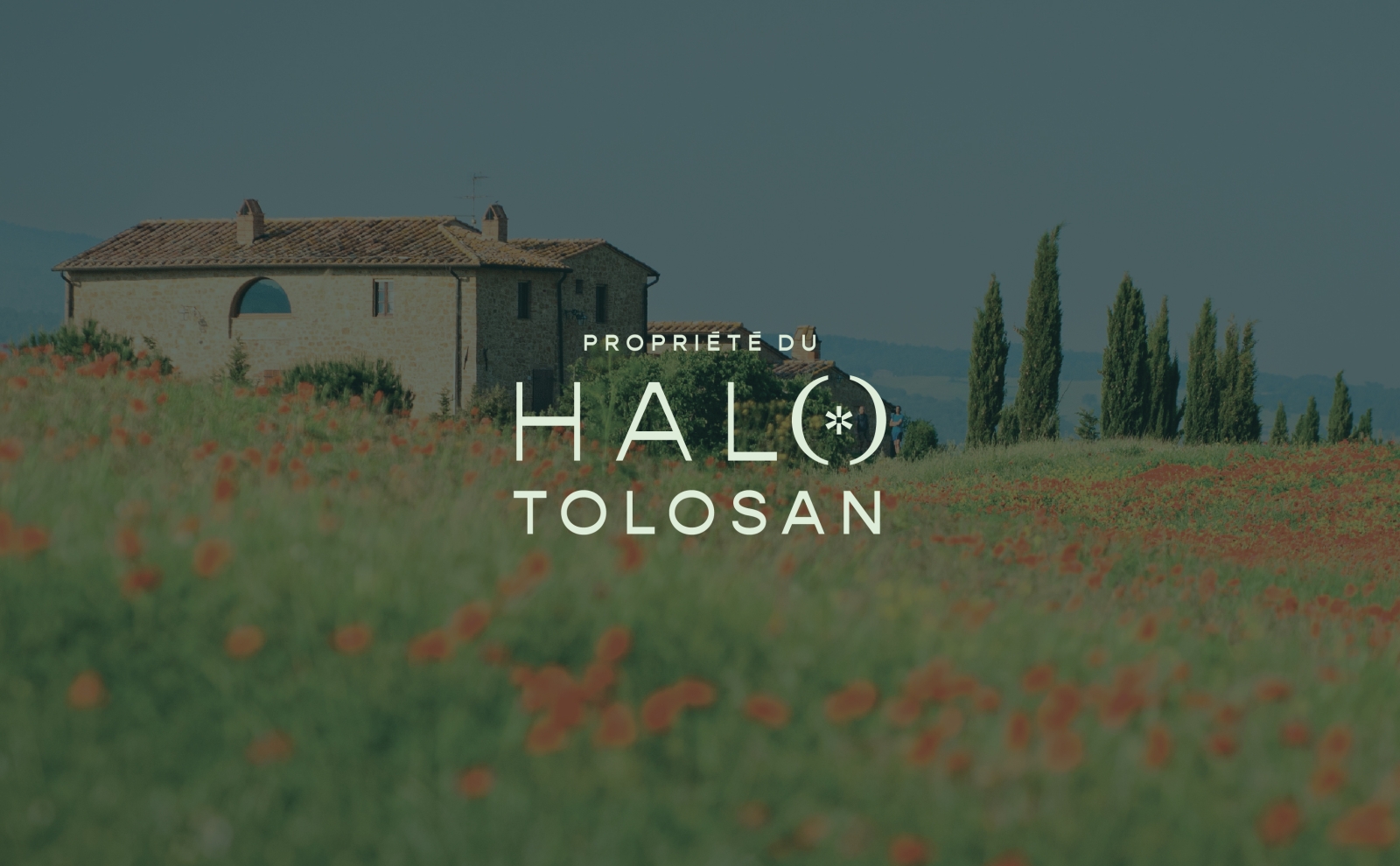 Propriété du Halo Tolosan