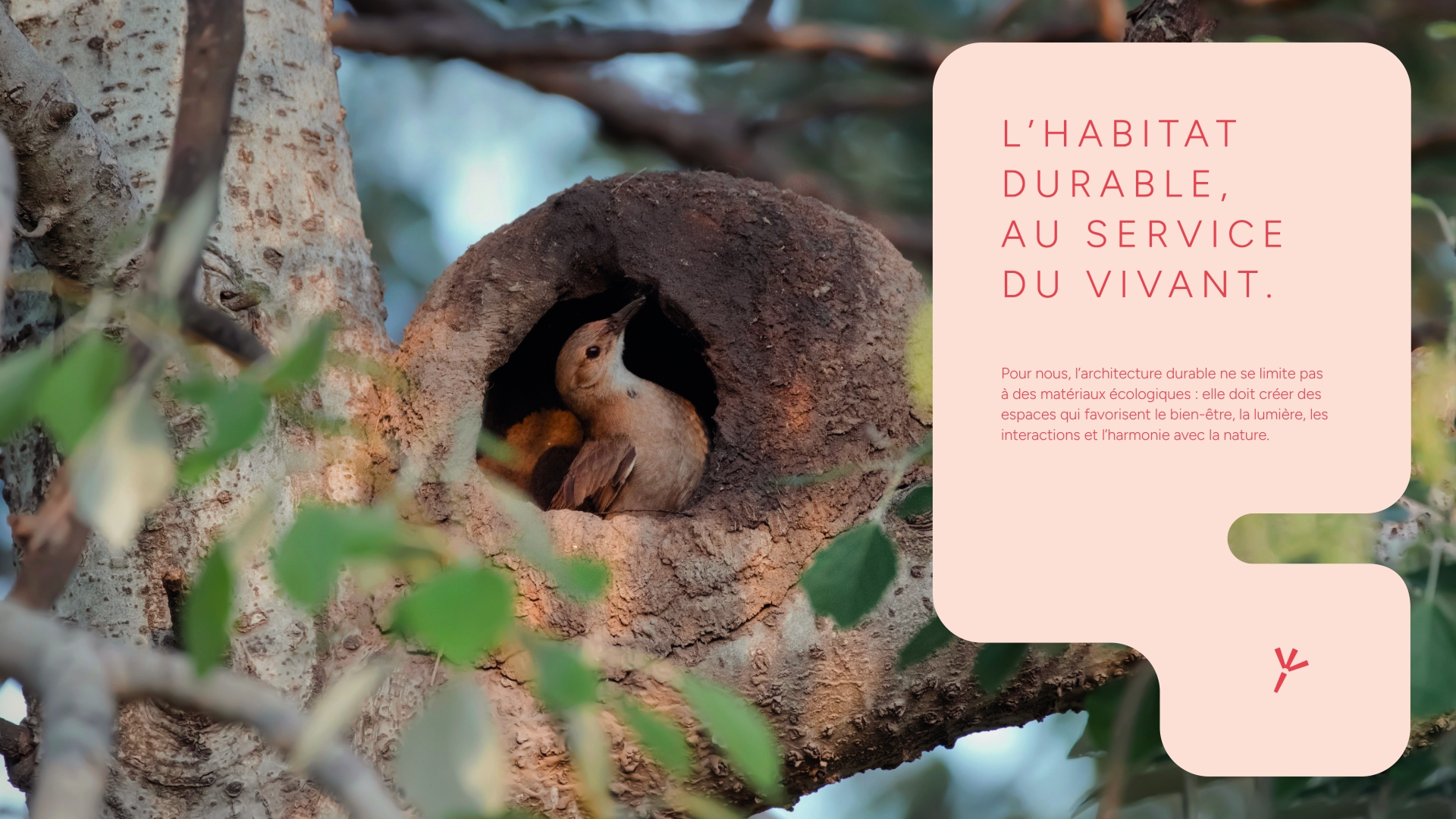 Détails du projet Faune architecture